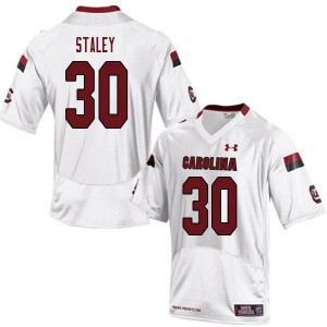 Men Damani Staley White South Carolina College Football #30 Jersey 540806-199