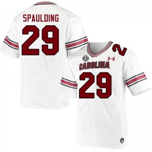 Men David Spaulding White South Carolina College Football #29 Jersey 408131-639
