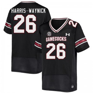 Men Nathan Harris-Waynick Black Gamecocks College Football #26 Jersey 414540-106