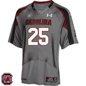 Men AJ Turner Gray Gamecocks College Football #25 Jersey 854166-112