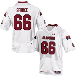 Men Dylan Sebuck White Gamecocks College Football #66 Jersey 350116-503