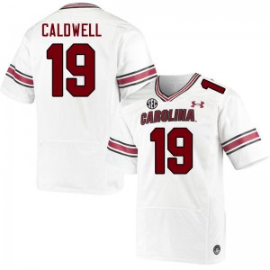 Men Elijah Caldwell White South Carolina Gamecocks College Football #19 Jersey 365595-279