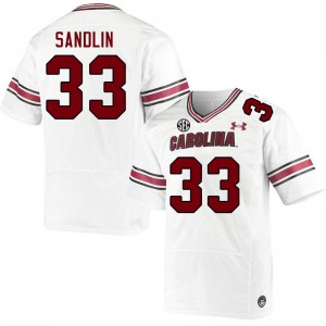 Men Kamron Sandlin White University of South Carolina College Football #33 Jersey 130194-839