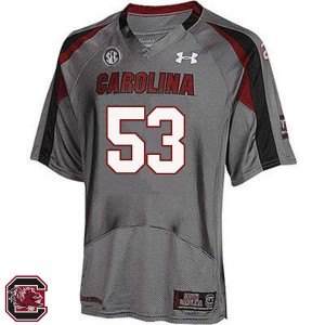 Men Mitch Langford Gray Gamecocks College Football #53 Jersey 721626-199