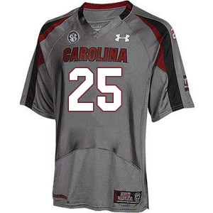 Men Rashad Amos Gray University of South Carolina College Football #25 Jersey 381844-433