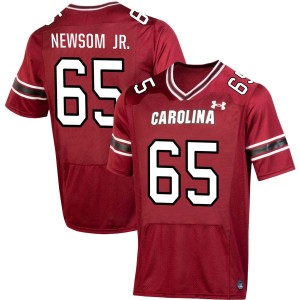 Men Rodney Newsom Jr. Garnet South Carolina College Football #65 Jersey 758504-947