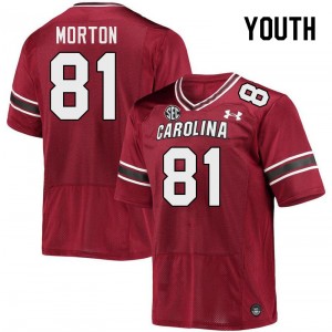 Youth Aaron Morton Garnet South Carolina Gamecocks College Football #81 Jersey 986664-849