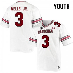 Youth Antwane Wells Jr. White Gamecocks College Football #3 Jersey 515494-234
