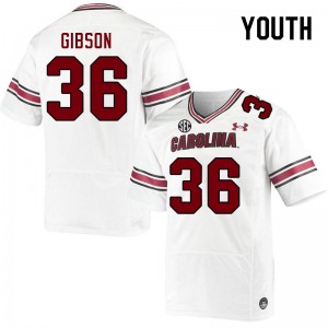 Youth B.J. Gibson White South Carolina College Football #36 Jersey 339806-945