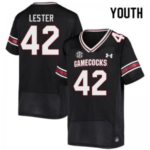 Youth Daniel Lester Black Gamecocks College Football #42 Jersey 664807-213