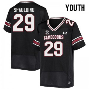 Youth David Spaulding Black South Carolina College Football #29 Jersey 848056-522