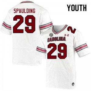 Youth David Spaulding White Gamecocks College Football #29 Jersey 872419-741