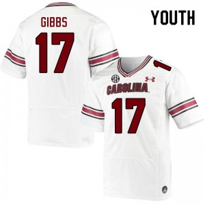 Youth DeAngelo Gibbs White South Carolina College Football #17 Jersey 342570-816