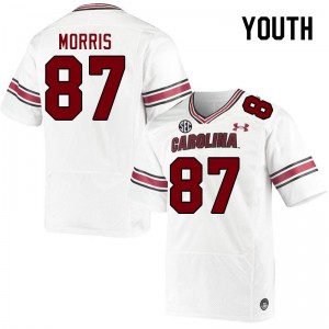 Youth Joseph Morris White South Carolina Gamecocks College Football #87 Jersey 173491-575