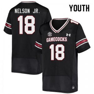 Youth Keenan Nelson Jr. Black South Carolina College Football #18 Jersey 834006-181