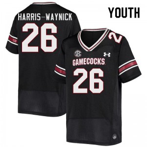 Youth Nathan Harris-Waynick Black University of South Carolina College Football #26 Jersey 122992-540