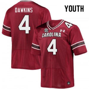 Youth Terrell Dawkins Garnet South Carolina College Football #4 Jersey 649451-377