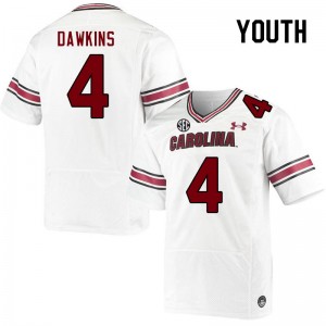 Youth Terrell Dawkins White Gamecocks College Football #4 Jersey 309340-639