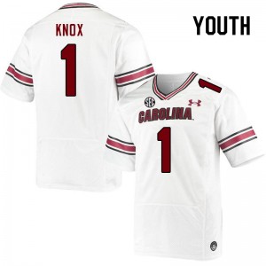 Youth Trey Knox White South Carolina Gamecocks College Football #1 Jersey 543465-449