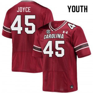 Youth William Joyce Garnet South Carolina Gamecocks College Football #45 Jersey 938500-103