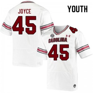 Youth William Joyce White University of South Carolina College Football #45 Jersey 312728-744