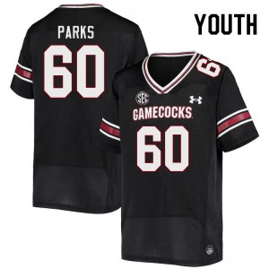 Youth Aaryn Parks Black University of South Carolina College Football #60 Jersey 565097-407