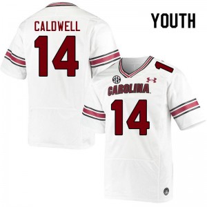 Youth Elijah Caldwell White South Carolina College Football #14 Jersey 479994-381