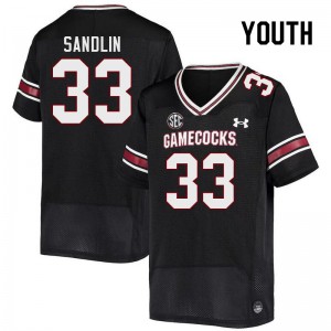 Youth Kamron Sandlin Black South Carolina Gamecocks College Football #33 Jersey 199193-269