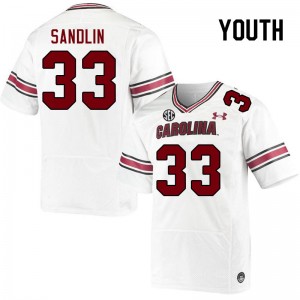 Youth Kamron Sandlin White University of South Carolina College Football #33 Jersey 520966-585