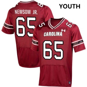 Youth Rodney Newsom Jr. Garnet South Carolina Gamecocks College Football #65 Jerseys 439446-242