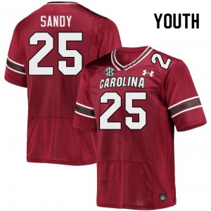 Youth Zahbari Sandy Garnet South Carolina College Football #25 Jersey 539504-994