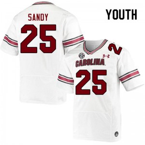 Youth Zahbari Sandy White South Carolina Gamecocks College Football #25 Jersey 144515-122
