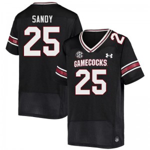 Men Zahbari Sandy Black South Carolina College Football #25 Jersey 920527-337