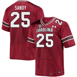 Men Zahbari Sandy Garnet South Carolina College Football #25 Jersey 862931-520