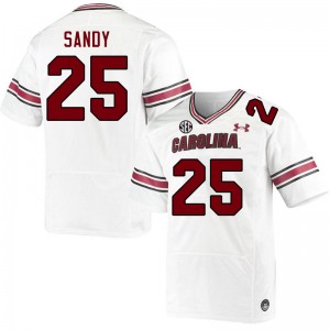 Men Zahbari Sandy White South Carolina Gamecocks College Football #25 Jersey 142110-941